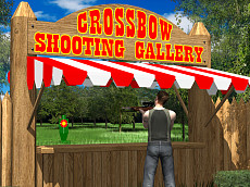 Play crossbow shooting gallery free game