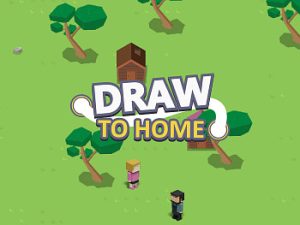 Play draw to home 3d free game